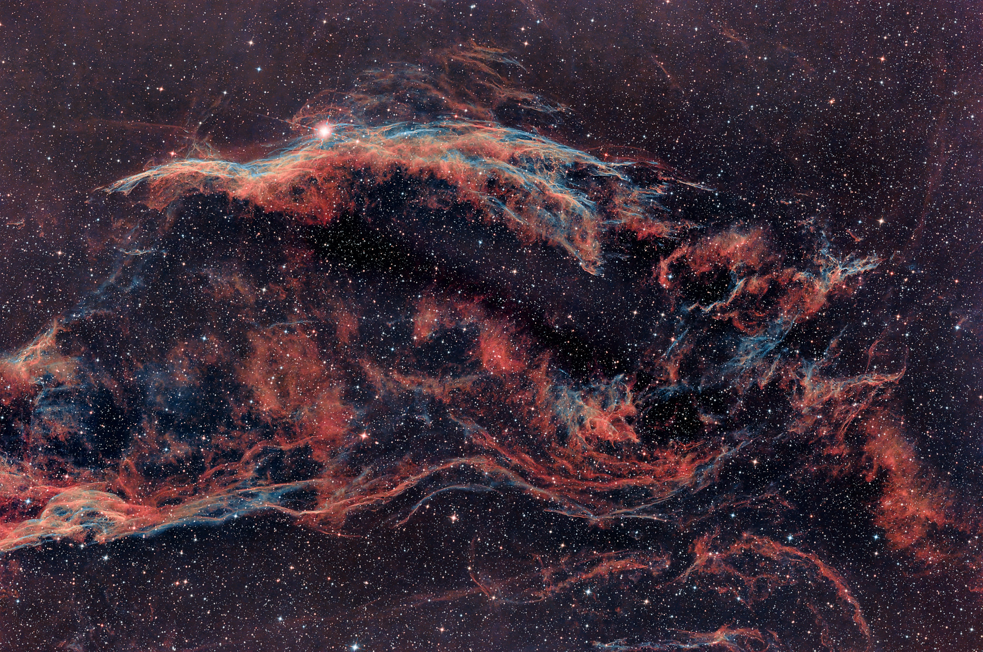 Western Veil Nebula, part of Cygnus Loop NGC 6960 Westlicher Schleiernebel, Teil des Cygnusbogens NGC 6960